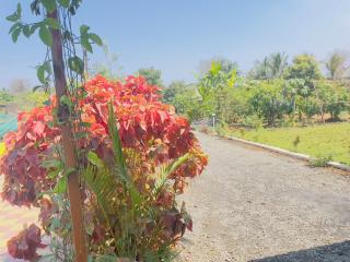 Nirvana Paradise - Badlapur - 0