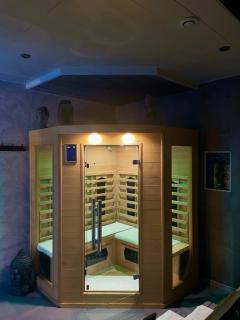 Gites Spa Strasbourg - Villa Cerf - SPA Privé, Sauna, Borne d'arcade, Babyfoot - Ittenheim - 0