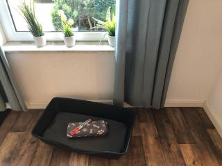 Ferienwohnung Oll School - Großheide - 3