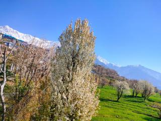 Anitra - Dharamshala - 6