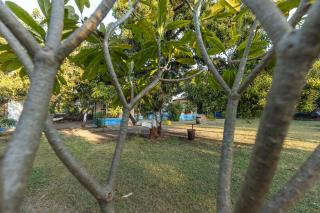 Gir County Resort - 5