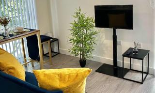 Modern Studio in Central Hemel Hempstead - Hemel Hempstead - 5