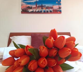 Casa Andrea - Venice - 8