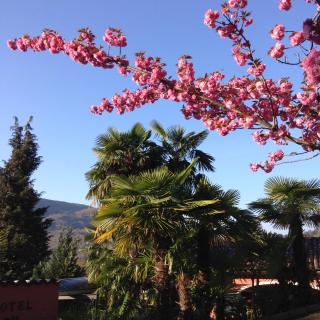 Casa Balwin - Ponte Tresa - 2