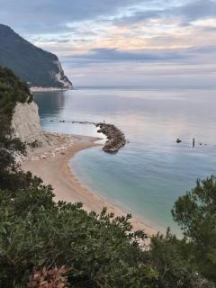 Fiori del Conero - 5