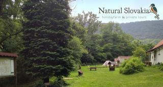 Romantic Farm House "Ranná Rosa" - Natural Slovakia - Modrý Kameň - 8