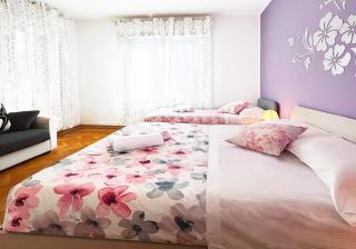 Casa Barbara comoda e rilassante con parcheggio - Mestre - 6