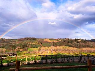 I Vigneti del Chianti - Barberino di Val d'Elsa - 8