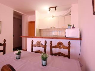 Apartamento céntrico con terraza y acceso cercano a la playa, bares y mercado en Empuriabrava - ES-228-181 - Empuriabrava - 4