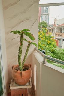 Low-Rise House for Groups Near BTS & EmDistrict For Spacious Cozy Stay - 1