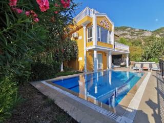 Villa with a Pool and Jacuzzi - Alanya - 9