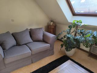 Magnolia - Namur - 6