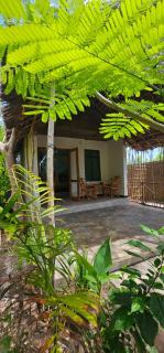 Z Village Lodge - Paje - 6