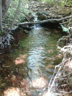 La Maison du chataignier - 1