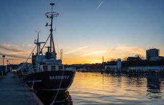 Sonnige Fewo Hafen in Sassnitz - Sassnitz - 6