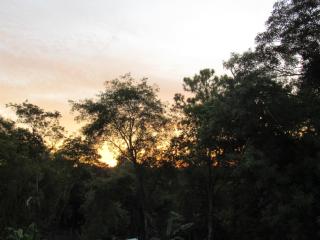 VerdeMonte - Cabaña Anchico - 8