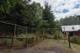 Cabañas Altos de carewe 2, Lican Ray Chile - 6