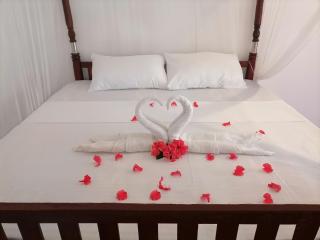 The Golden Sand Villa in Unawatuna - 2