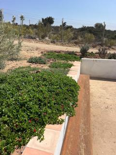 The Ocean Breeze bungalow - Sidi Kaouki - 5