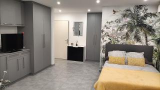 Studio a 3min a pied des plages et proche de Cannes - Mandelieu La Napoule - 2