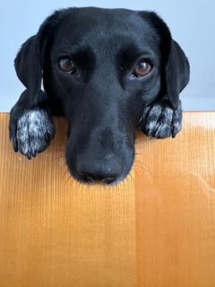 Ellis-Ferienwohnung-Erzgebirge - 7