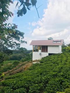 Mountain Villa - 7