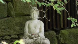 Tienda de Campaña en Ecoaldea Vegana Espiral en Plena naturaleza con comida y cena incluida -  - 0