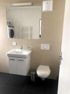 1BR apartment with balcony - West 13 - Zurigo - 5