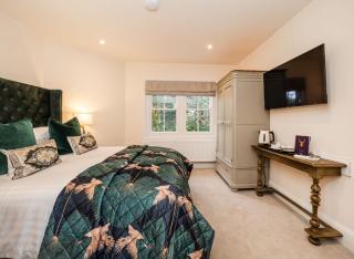 The Stag - Salhouse - 1