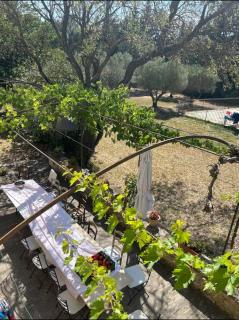 L'évasion Provencale - 5