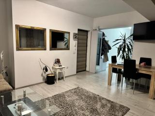 Apartament Andreea pe Dem Radulescu! - 4