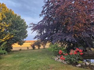 Bed & Breakfast Birgit Fröhlich - - 7