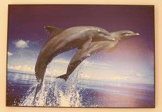 Betty's Home - Sopron - 6