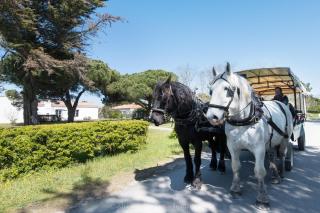 Villa Kenavo - Maison familiale avec vue mer - 8