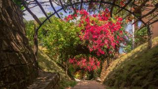 Mango Beach Resort - 1