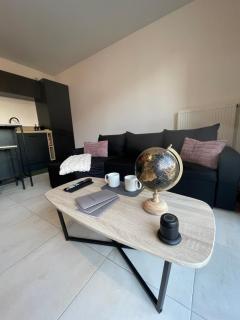 Luxury apartment near CDG & Parc Asterix - 2