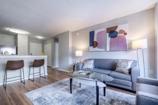 Luxury Apt Downtown Near Train - BSC-215G - White Plains - 3
