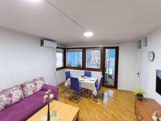 Chengic Villa Comfort - Modern 2-Bedroom Retreat - Sarajevo - 9