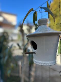 Le case di Torto - Parma - 8