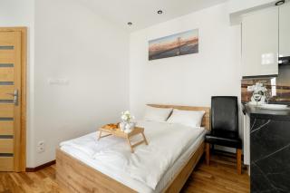 Przytulne Studio Very Berry w Centrum Poznania by Noclegi Renters - 9