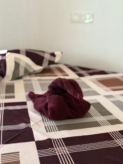 Marari Joy's Beach Villa - Mararikulam - 8