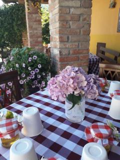 Bed and Breakfast di Nonna Piera - Casalborgone - 2