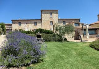 La Pieve di San Martino - Colle di Val d'Elsa - 9
