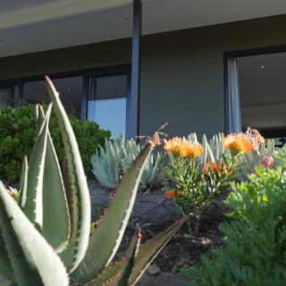 denBosch Cottages - 9