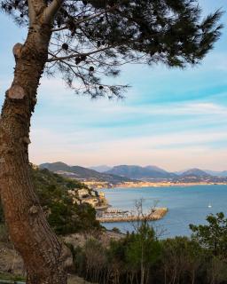 Almaris - 4