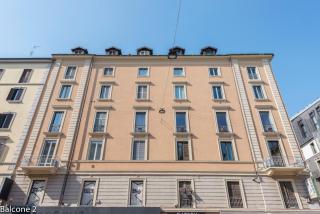 Sunflower - Milan - 9