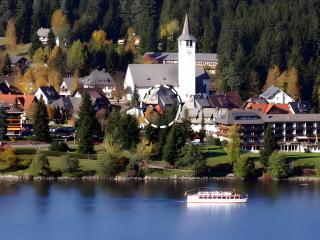 Haus Am Tannenhain - Titisee-Neustadt - 3