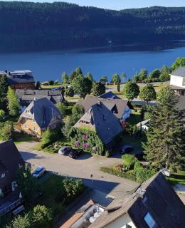 Haus Am Tannenhain - Titisee-Neustadt - 8