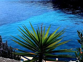 Apartman Fortunal - Blato - 3