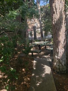 Izabela's apartment in Sololaki - 2